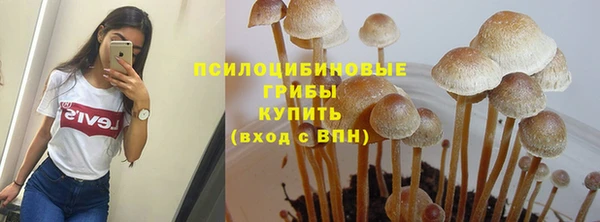 твердый Абинск