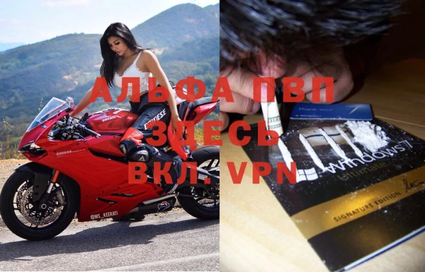 индика Алексеевка