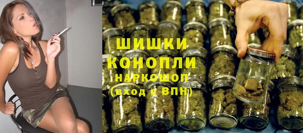 крисы Абаза