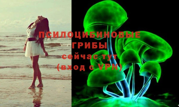 твердый Абинск