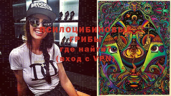 индика Алексеевка