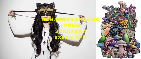 индика Алексеевка