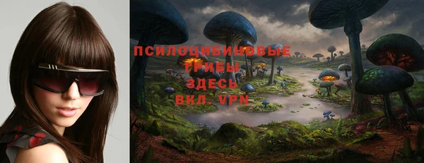 крисы Абаза