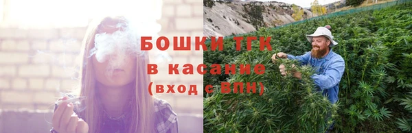 крисы Абаза